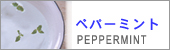 ミント