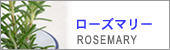 ローズマリー